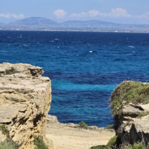 WhatsApp Image 2025-12-23 at 20.38.00