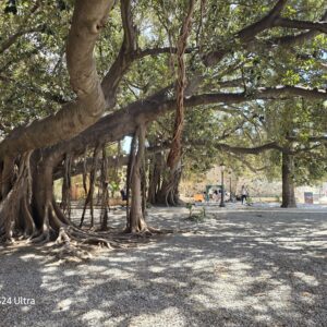 WhatsApp Image 2026-01-28 at 16.14.08 (2)