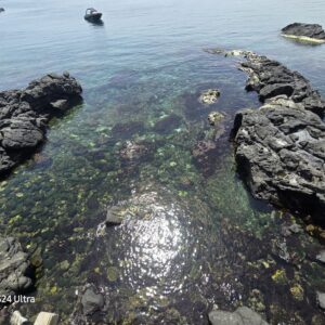 WhatsApp Image 2026-01-28 at 16.28.20 (3)