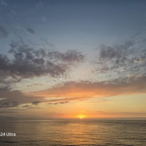 WhatsApp Image 2026-01-28 at 16.28.23