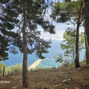 WhatsApp Image 2026-01-28 at 16.30.03