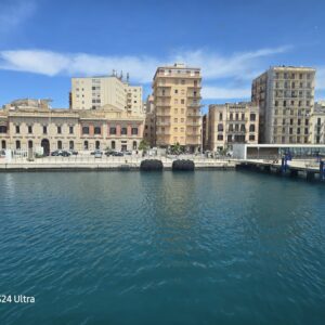 WhatsApp Image 2026-01-28 at 16.30.06 (1)