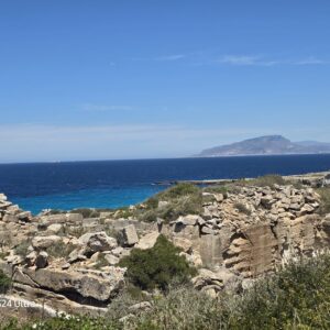 WhatsApp Image 2026-01-28 at 16.30.06 (3)