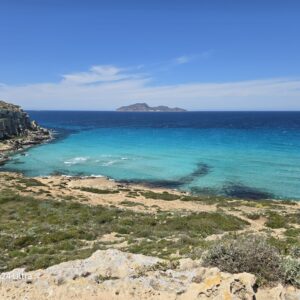 WhatsApp Image 2026-01-28 at 16.30.06 (6)