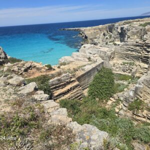 WhatsApp Image 2026-01-28 at 16.30.07 (1)