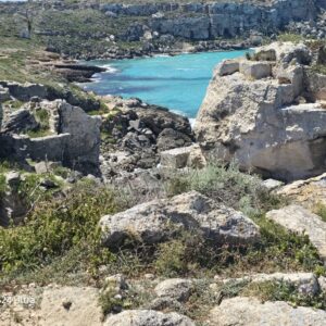 WhatsApp Image 2026-01-28 at 16.30.07 (2)