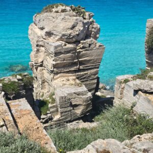 WhatsApp Image 2026-01-28 at 16.30.07