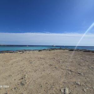 WhatsApp Image 2026-01-28 at 16.30.07 (4)