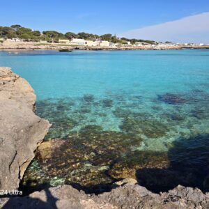 WhatsApp Image 2026-01-28 at 16.30.07 (5)