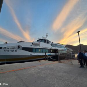 WhatsApp Image 2026-01-28 at 16.30.08