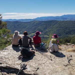 snap-wander-1dL5puVQ-vk-unsplash